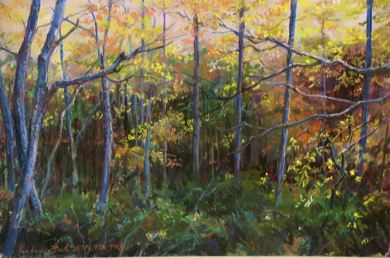 Backyards Blues, a pastel painting by Ken Buck